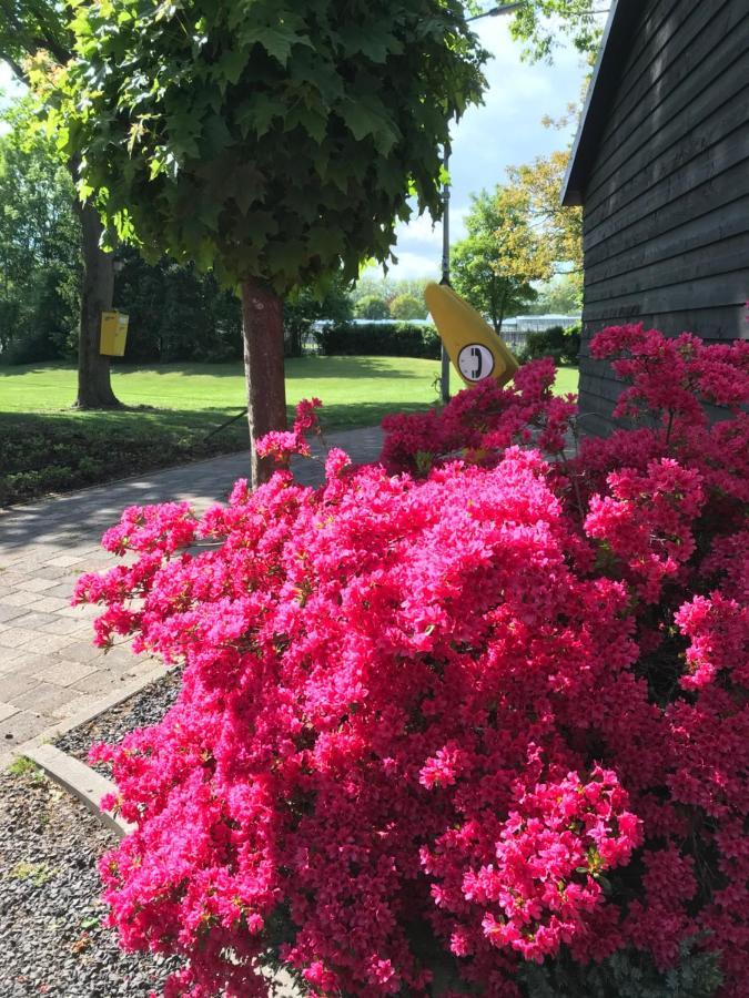 B&B De Prinsenhof Gassel Εξωτερικό φωτογραφία